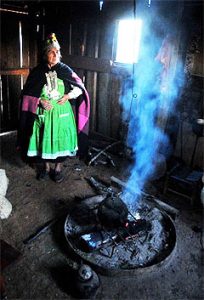 curanderamapuche-240-a